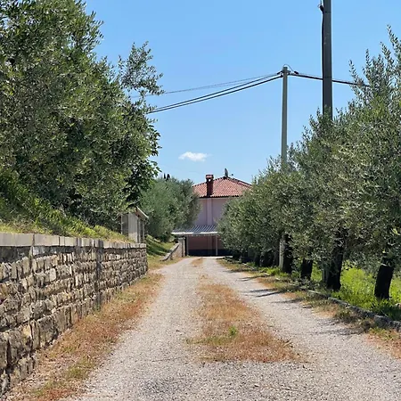 4 Roses Vrtnica Apartmán