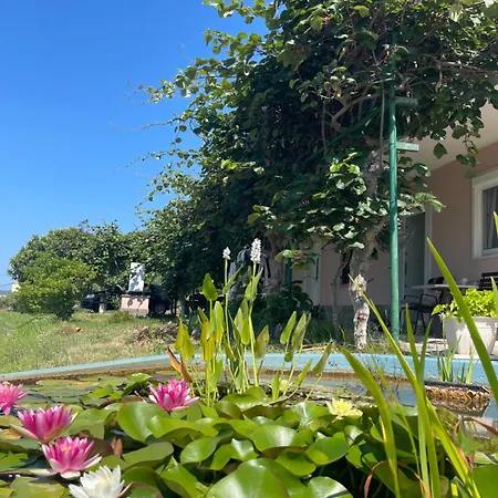 Appartement 4 Roses Vrtnica *