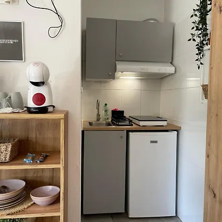4 Roses Vrtnica Apartman