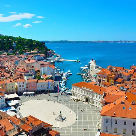 4 Roses Vrtnica Appartement *