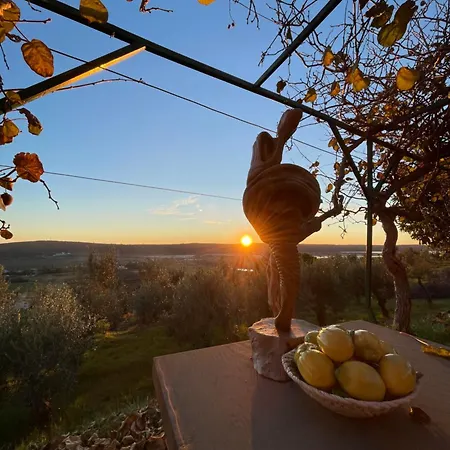 4 Roses Vrtnica * Secovlje