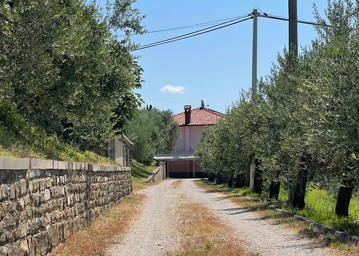 4 Roses Vrtnica Lejlighed