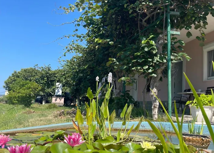 Lejlighed 4 Roses Vrtnica *