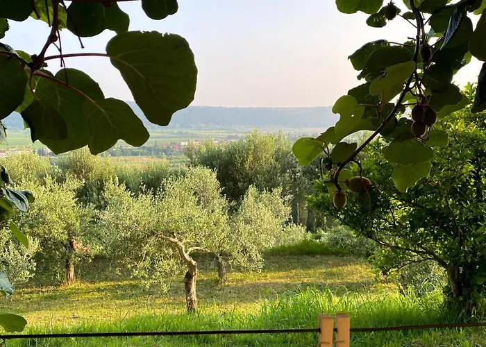 4 Roses Vrtnica アパート