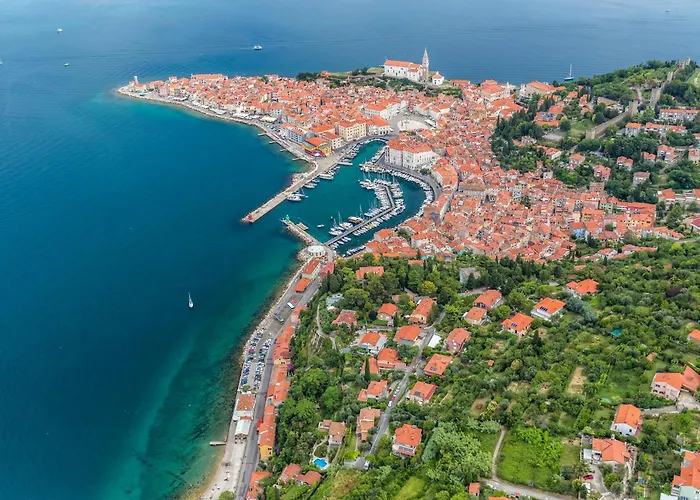 4 Roses Vrtnica * Sečovlje